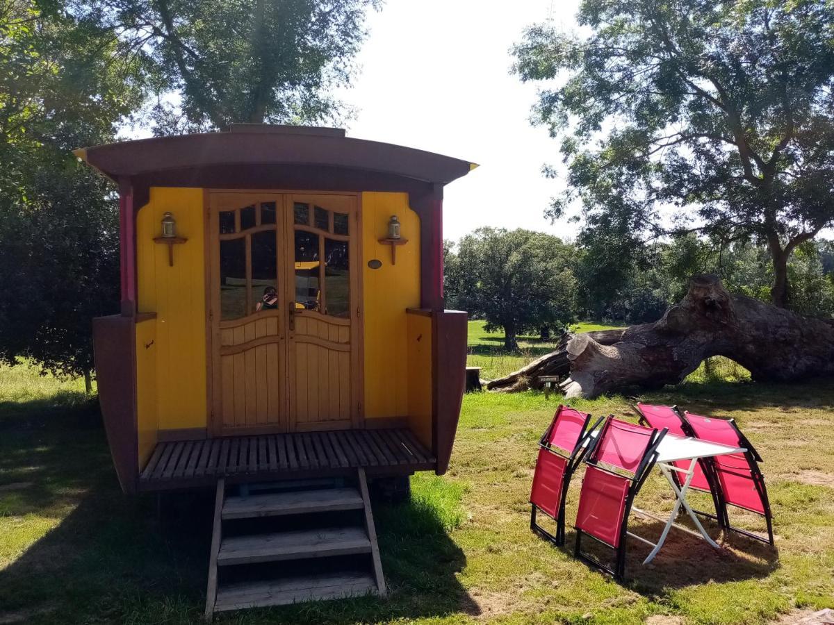 Camping La Bergerie Hotel La Chapelle-Achard Ngoại thất bức ảnh